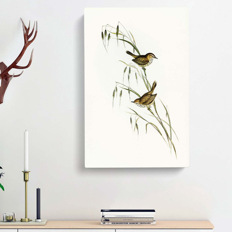 Field Reed Lark by Elizabeth Gould - Wrapped Canvas, 60cm H x 40cm W x 3cm D