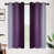 Purple/Gray
