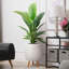 Concrete Effect Planter on Hardwood Legs, Round Indoor Plant Pot Stand for Indoor Plants, Indoor Flower Pot with Plaited Pattern-753632942-753632943