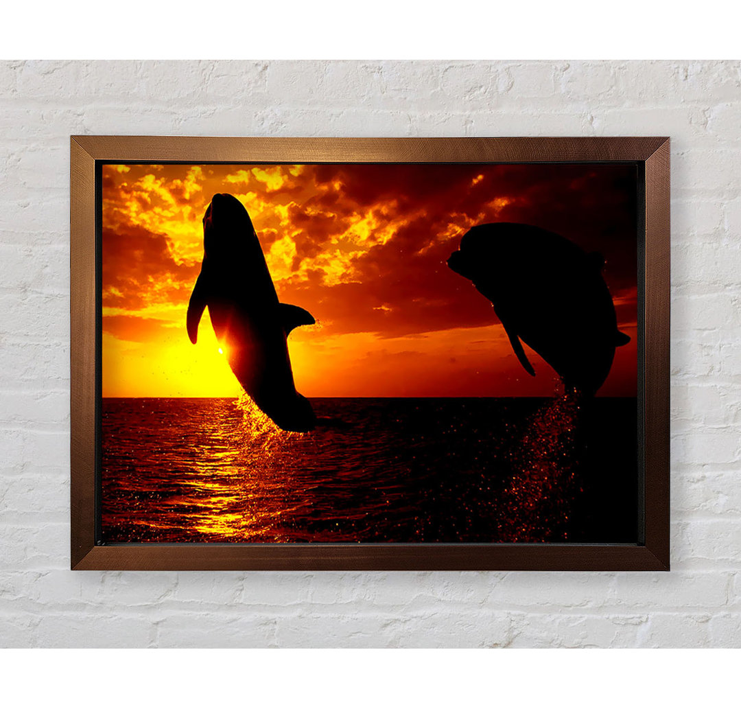 Gerahmter Fotodruck Dolphins Sunglow