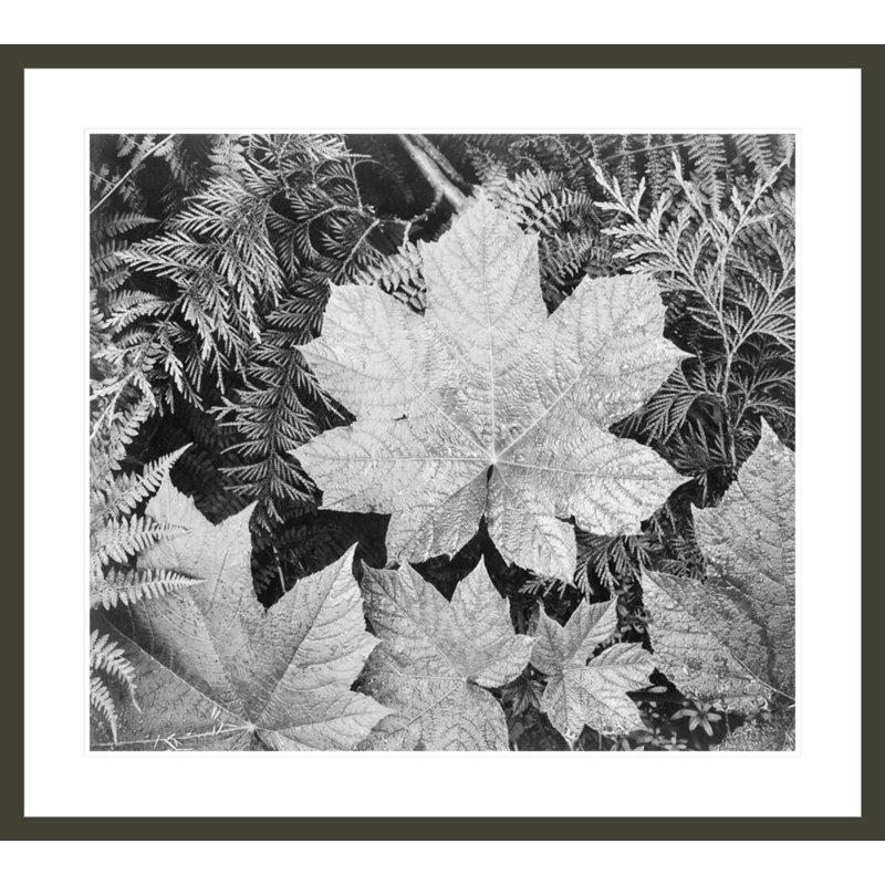 «In Glacier National Park» par Ansel Adams, impression giclée sur cadre, H 33,5 po x l 37,19 po