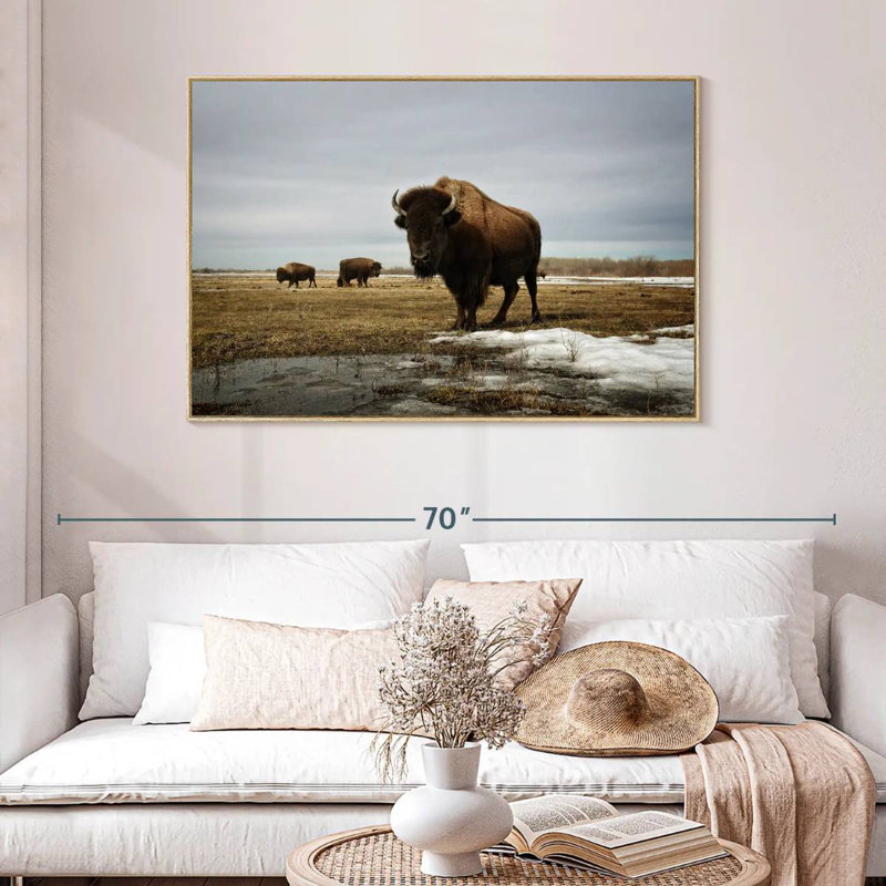 Bison Cloud Day, Cadre flottant en bois naturel, 46 po x 31 po