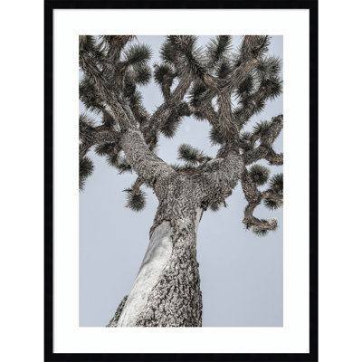 Joshua by Shot by Clint Wood Framed Wall Art Print
