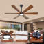 Ceiling Fan