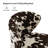 Euclid 29"H Modern Velvet Accent Chair with Tufted Back-810028101