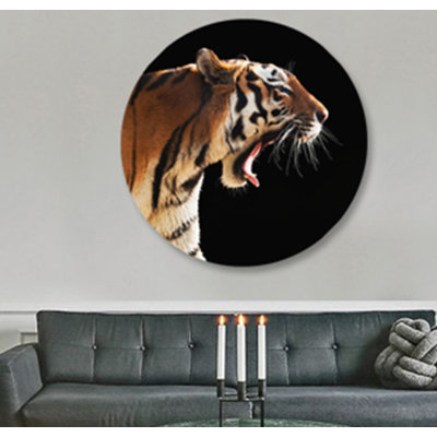 Tiger's Roar - photographie