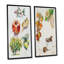 «Set of Apple Botanist II», ensemble de 2 impressions sur toile-950474912-950474915