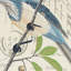 Avian Bird Throw Pillow-10168127-100638611