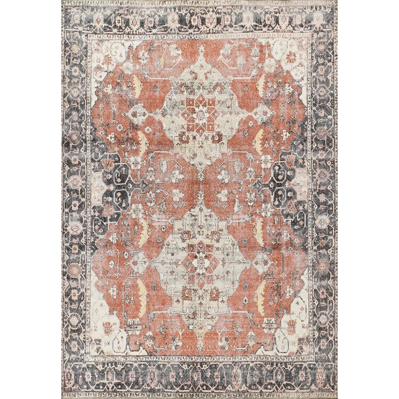 Deyanne Oriental Indoor Rug, Rectangle 4' x 6'