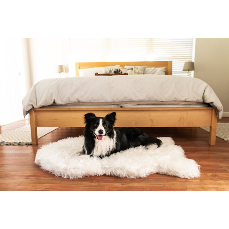 Medium Polar White Faux Fur Orthopedic Dog Bed