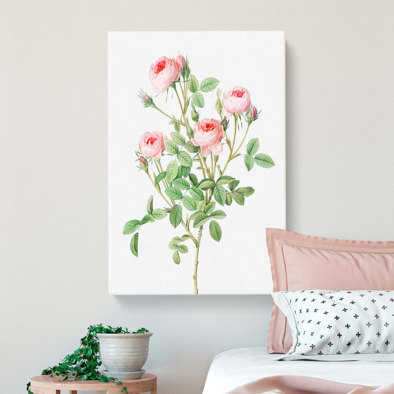 Pink Roses by Pierre-Joseph Redoute - Wall Art, 50cm H x 35cm W x 3cm D, Wrapped Canvas