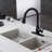 Mondawe Pull Down Kitchen Faucet-72651100