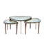 Jan 3 - Piece Coffee Table Set