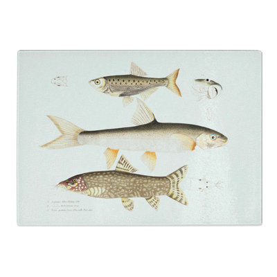 Tempered Glass Carp and Loach Fish Illustrations by John Edward Gray Chopping Board