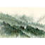 Forêt / aquarelle-300357089-357690426-389087441