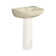 Southhampton Vitreous China U-Shaped Pedestal Bathroom Sink with Overflow