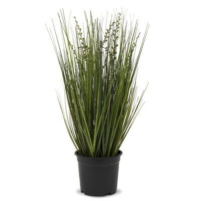 54 cm H Faux Pampas Grass Plant in Earthenware Pot