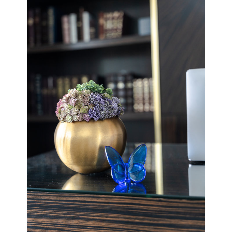 Valencia Gold Sedum Arrangement