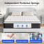 Matelas en mousse à mémoire de forme hybride avec ressorts ensachés certifiés Certipur-us, soulagement de la pression, dans une boîte et isolement de mouvement-1035533084