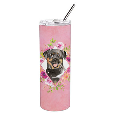 20oz. Stainless Steel Double Wall Glass