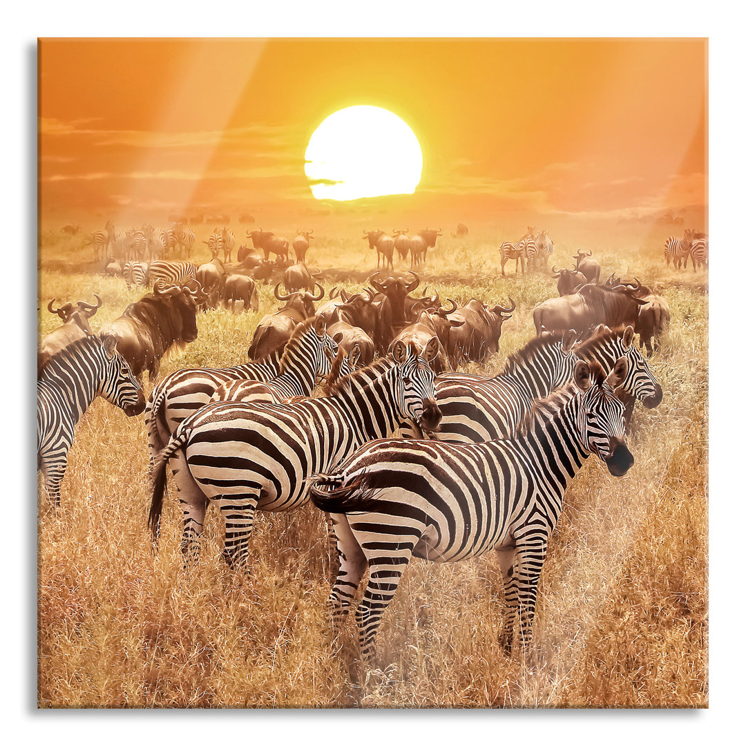 Glasbild Zebraherde Savanne bei Sonnenuntergang