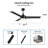Advait 52'' Ceiling Fan with LED Lights