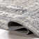 Charvi Distressed Medallion Fringe Area Rug