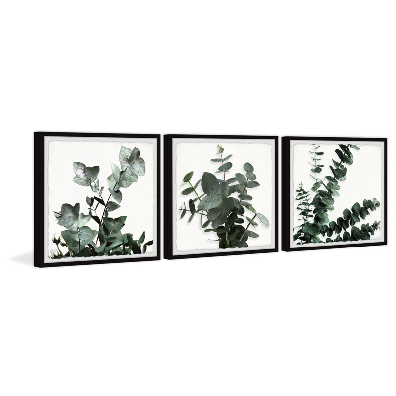 Evergreen arbuste triptyque, H 18 po x l 18 po