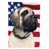 Mastiff anglais sélectionné