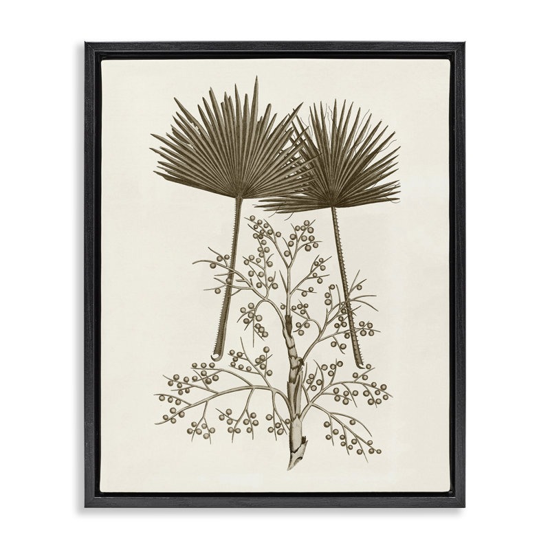 Cadre flottant Palm Leaf & Olive Branches, design par Phillipa Katz, Cadre flottant noir de jais, H 21 po x l 17 po