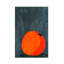 Bo Anderson Calmly Sleeping Apple sur toile-196049193