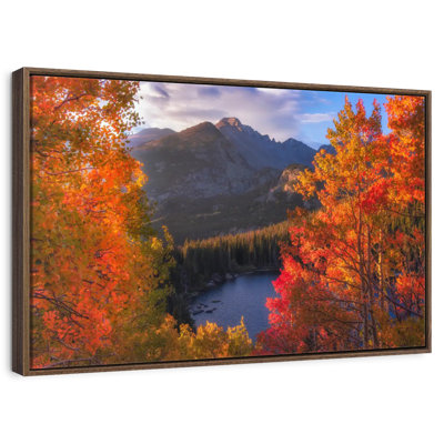 Rocky Mountain Autumn