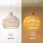 Adabel Dome Pendant Lamp, 1 Light-1681683205