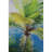 Eli Room Divider Privacy Screen Double Sided Digital Print-1194814423