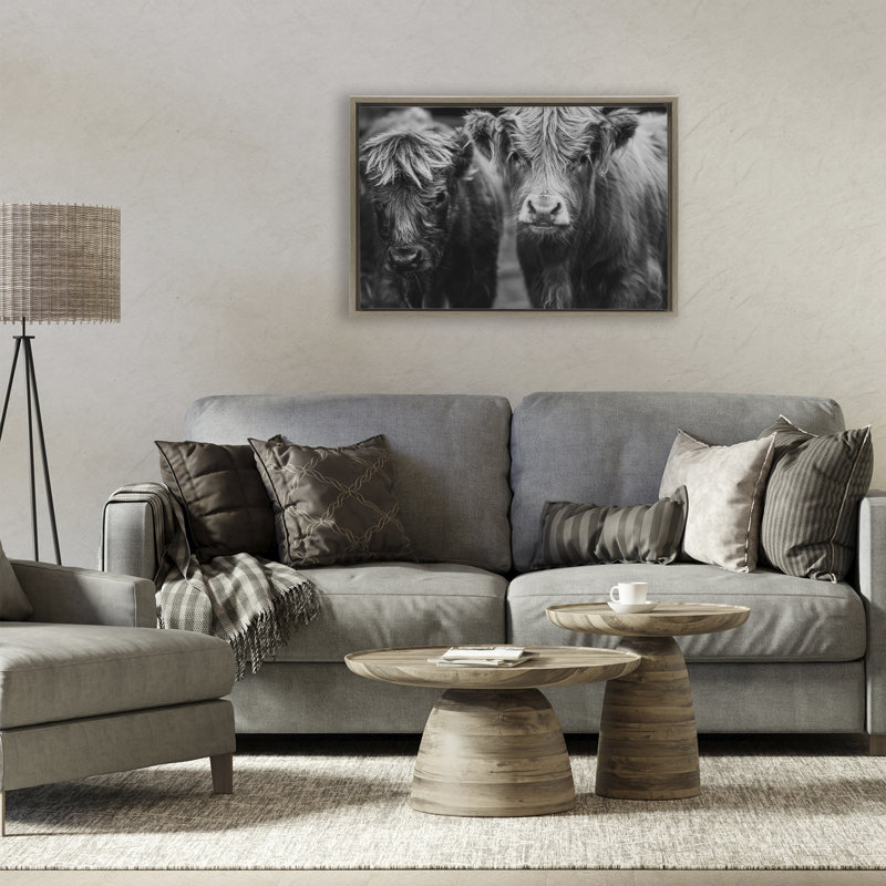 Visage de vache sur un cadre flottant de ferme, design par Amy Carroll, H 17 po x l 25 po, Cadre flottant orme Montalcino