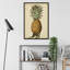 Brookshaw Antique Pineapple I 1 Piece Painting-423164114-423164119