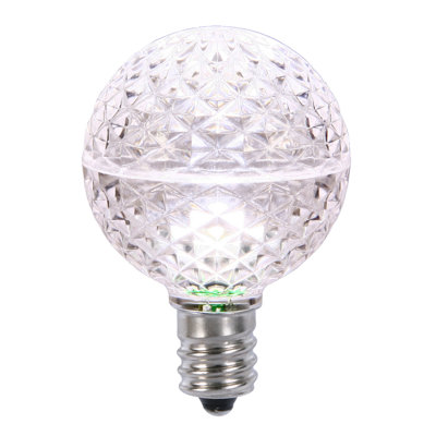 Globe Light Bulbs