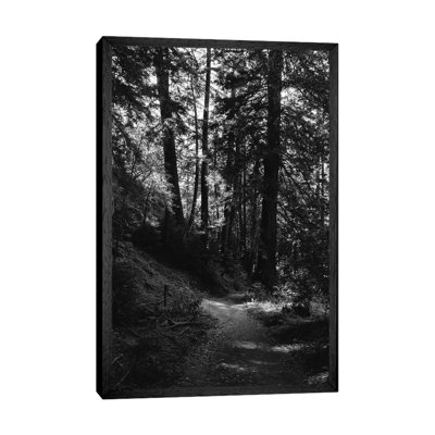 Big Sur Hike by Bethany Young - Print on Canvas