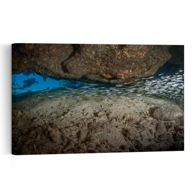 Underwater Cave Divers Serene Tranquil Abstract Fish Nature Ocean Wall Art Print