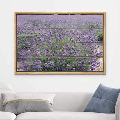 Flower Blossom " Purple Lavender Field "