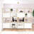Modern Bookcase Room Divider
