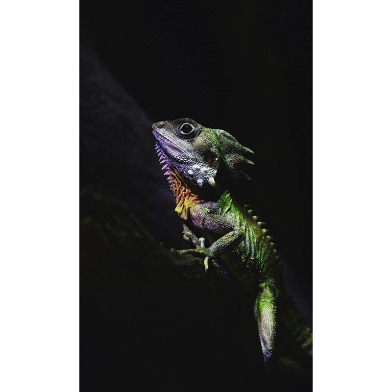 Wonderful Life 009 - No Frame Rectangle Print on Metal, 118cm H x 70cm W 