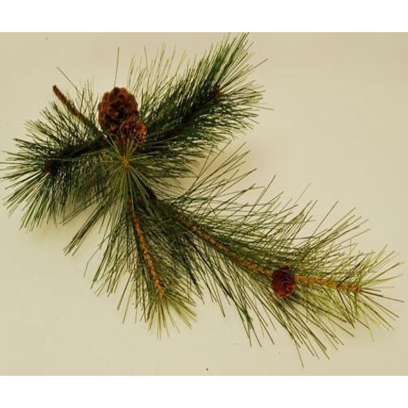 Faux plantes et arbres Mabry