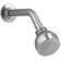 Coralais 2.0 GPM Single-Function Showerhead