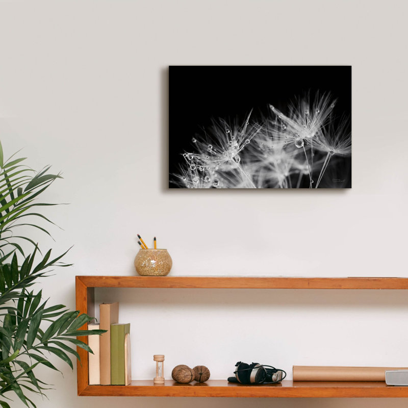 «Dandelion Dewdrops 2» par Laura Marshall, art mural sur toile, H 12 po x l 18 po x P 0,75 po