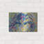 «Lilly Lobster II» par Jeanette Vertentes