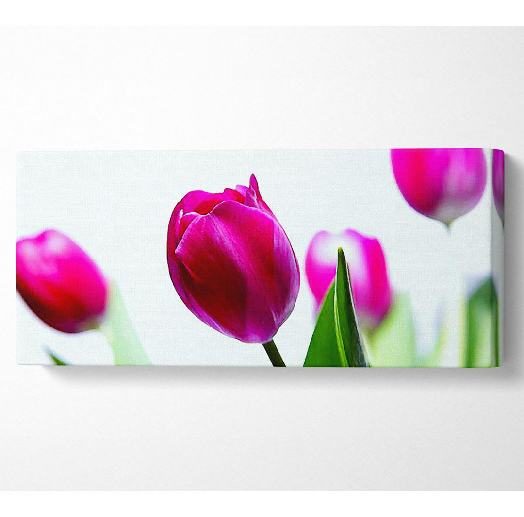 Cerise Tulip Quads - Kunstdrucke auf Leinwand - Wrapped Canvas