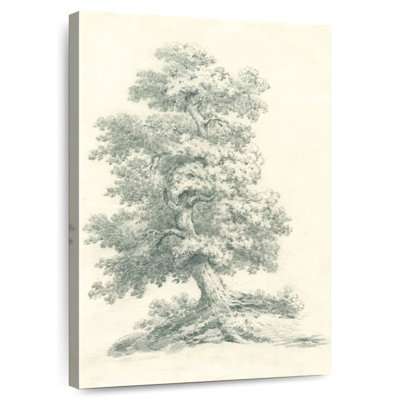 Tree Study II