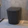 Elongated Smart Toilet 1.34 GPF In Black With Auto Open/Close, Auto Flush And Heated Seat