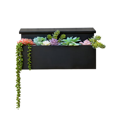 Morwen Package: MailVault Wall Planter Mailbox /w/ Succulents Set